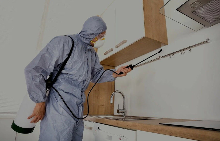 Beaumont pest managment